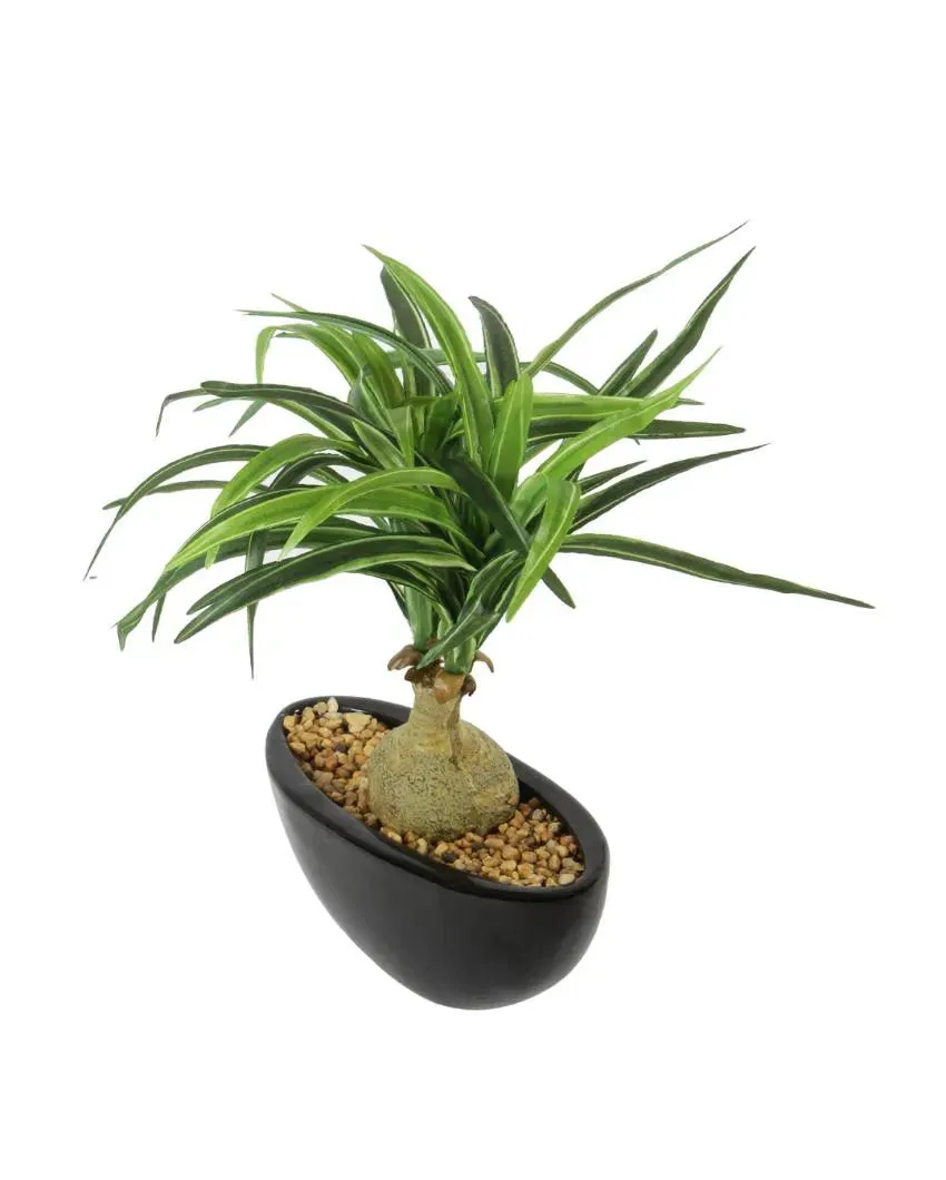 Nolina Artificial Bonsai Plant with Ceramic Pot | 11 inches