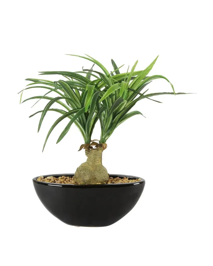 Nolina Artificial Bonsai Plant with Ceramic Pot | 11 inches