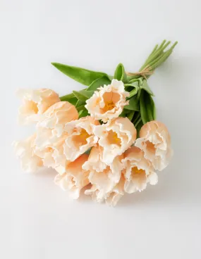 Parrot Tulip Bundle (12 Stems) - Light Peach