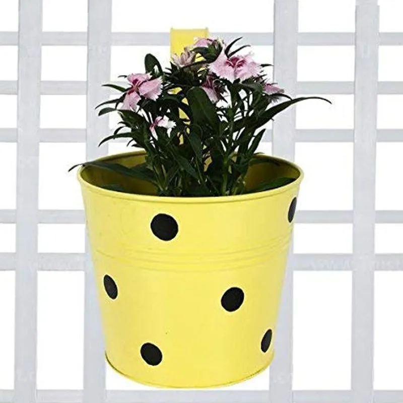 Polka Pro Planter - Set Of Five