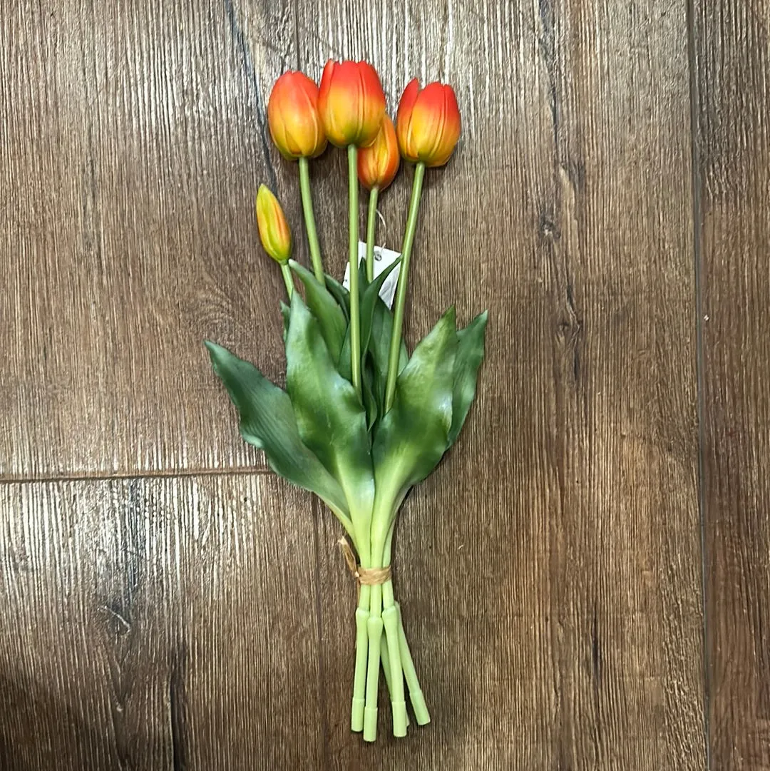 Realistic Short Tulips