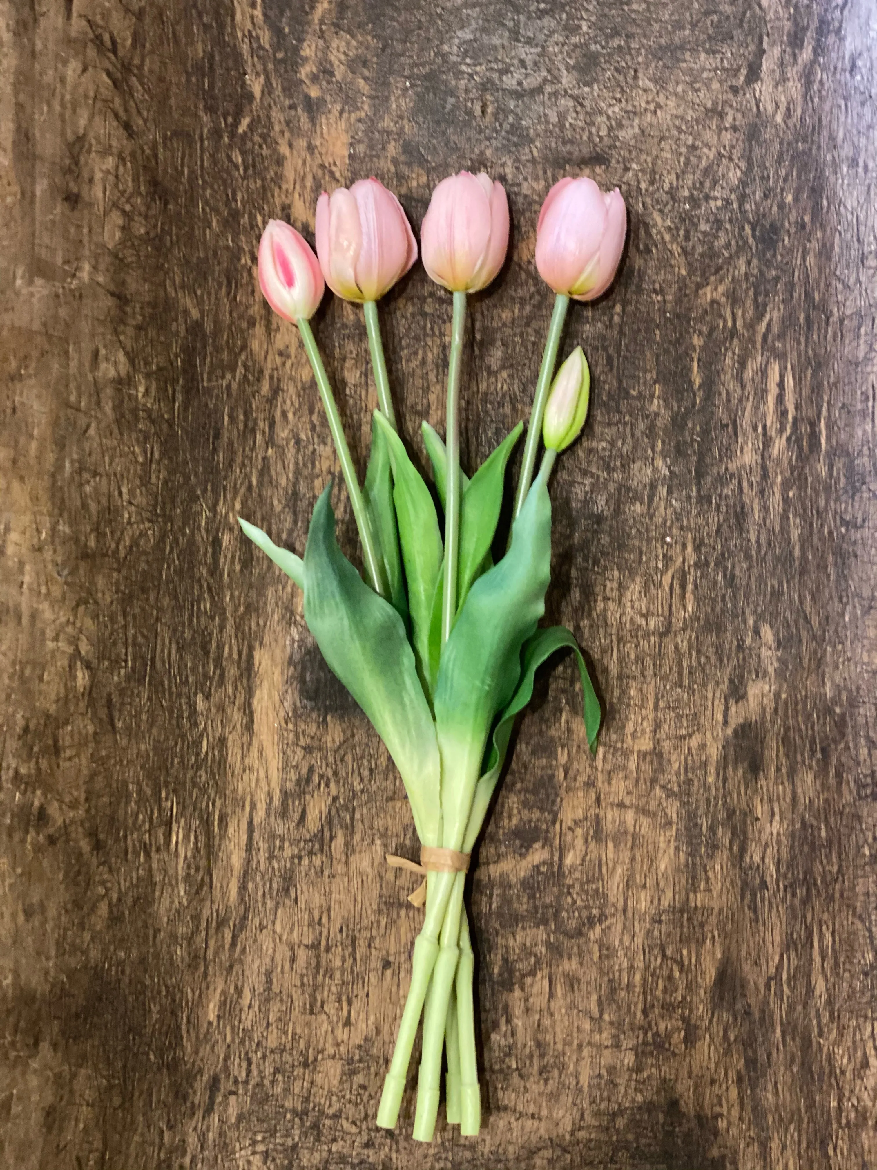 Realistic Short Tulips