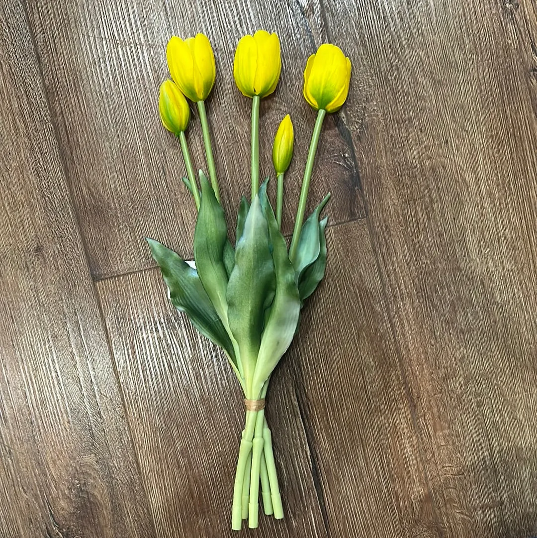 Realistic Short Tulips