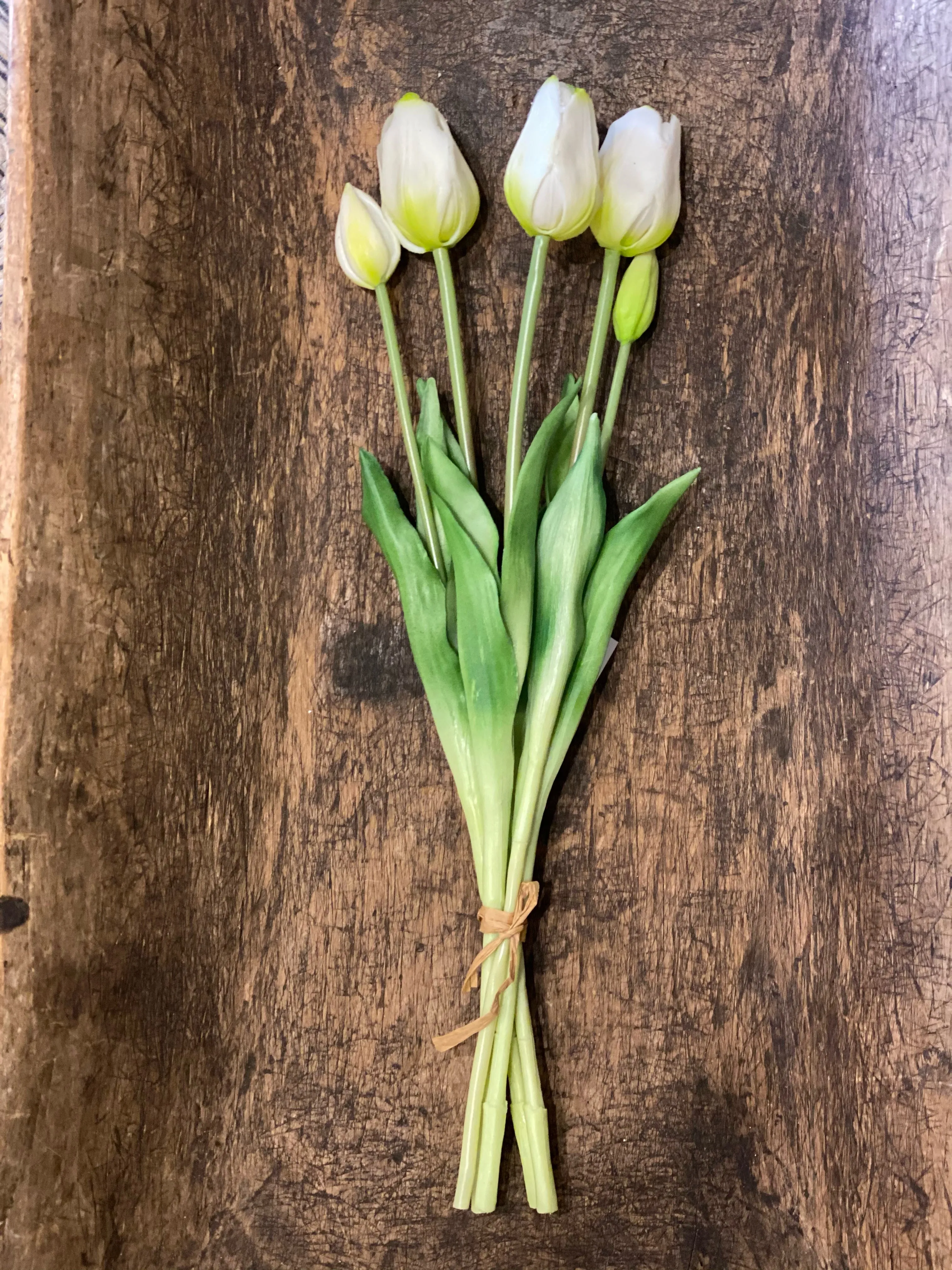 Realistic Short Tulips