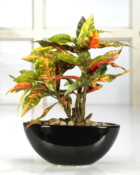 Red Codiacum Artificial Bonsai Plant with Ceramic Pot | 11 inches