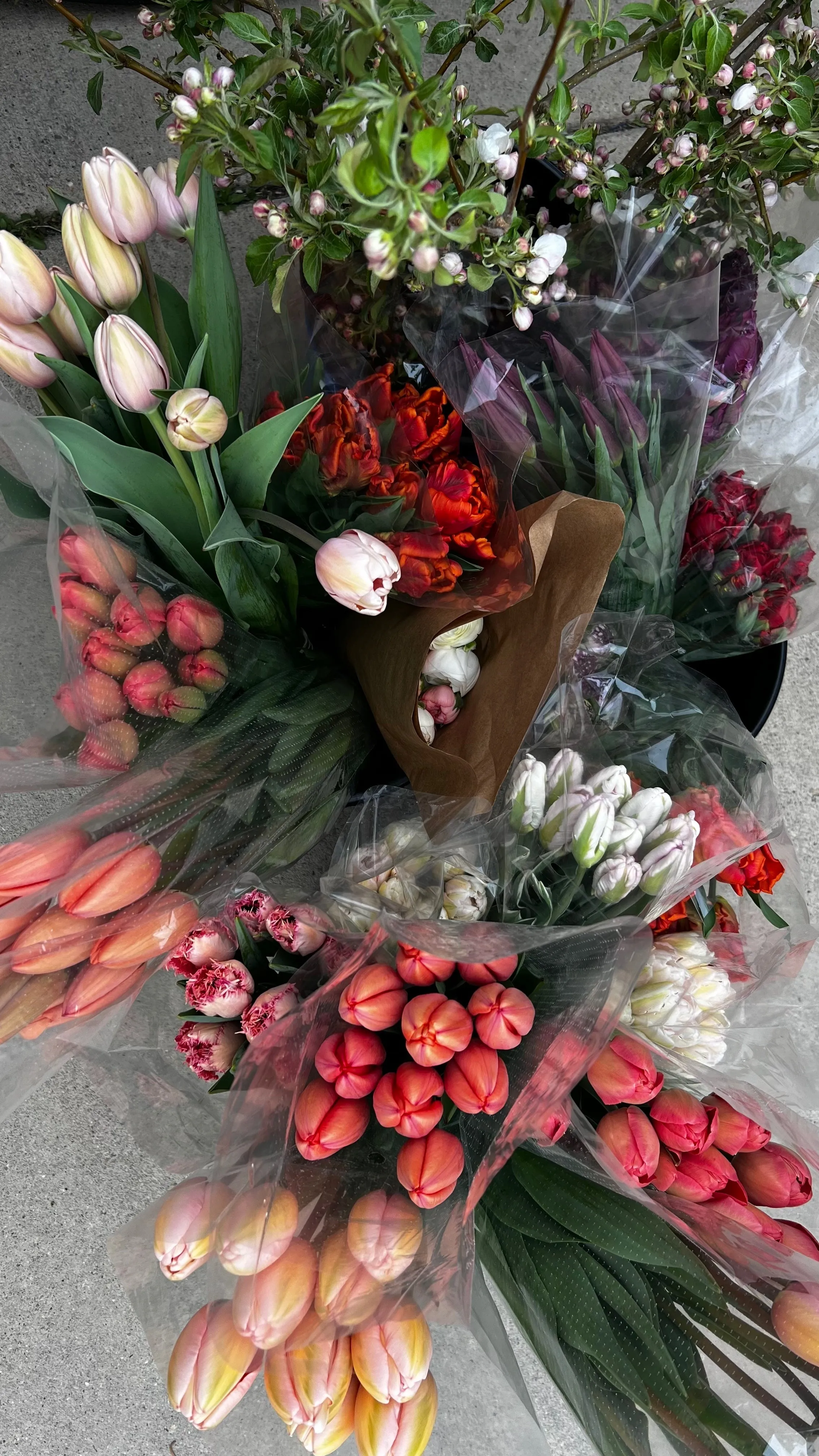 Seasonal Floral Experience: Spring Edition 2024
