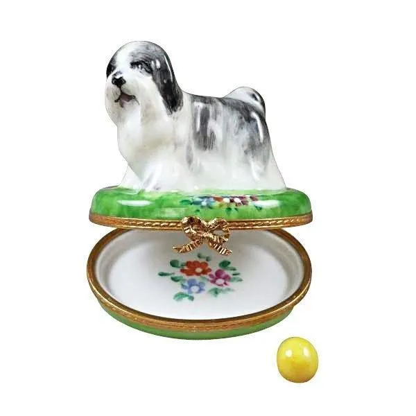 Shih Tzu Grey