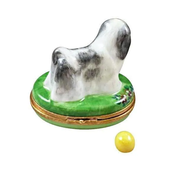 Shih Tzu Grey