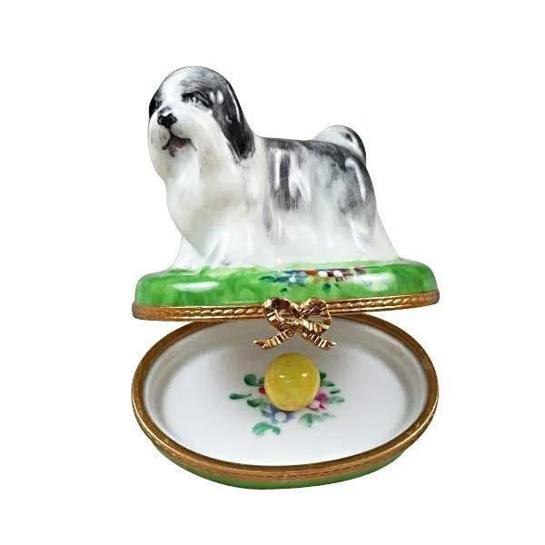 Shih Tzu Grey