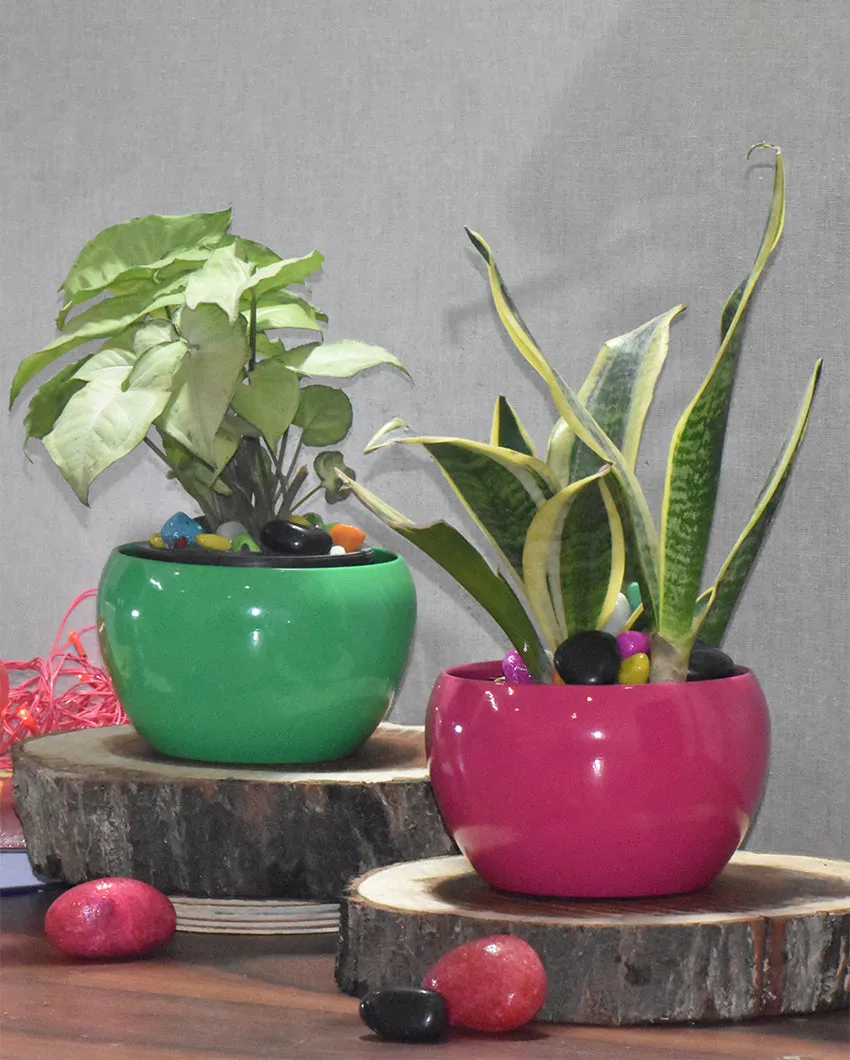Stylish Desktop Planters Combo Without Plants | Pack of 2 | 5 x 5 inches