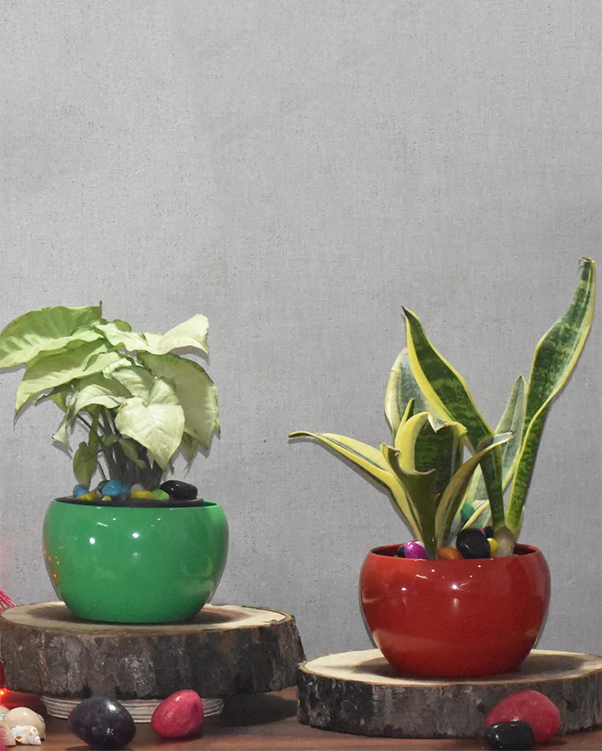 Stylish Desktop Planters Combo Without Plants | Pack of 2 | 5 x 5 inches