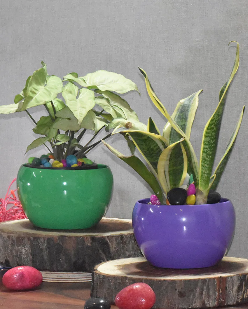 Stylish Desktop Planters Combo Without Plants | Pack of 2 | 5 x 5 inches