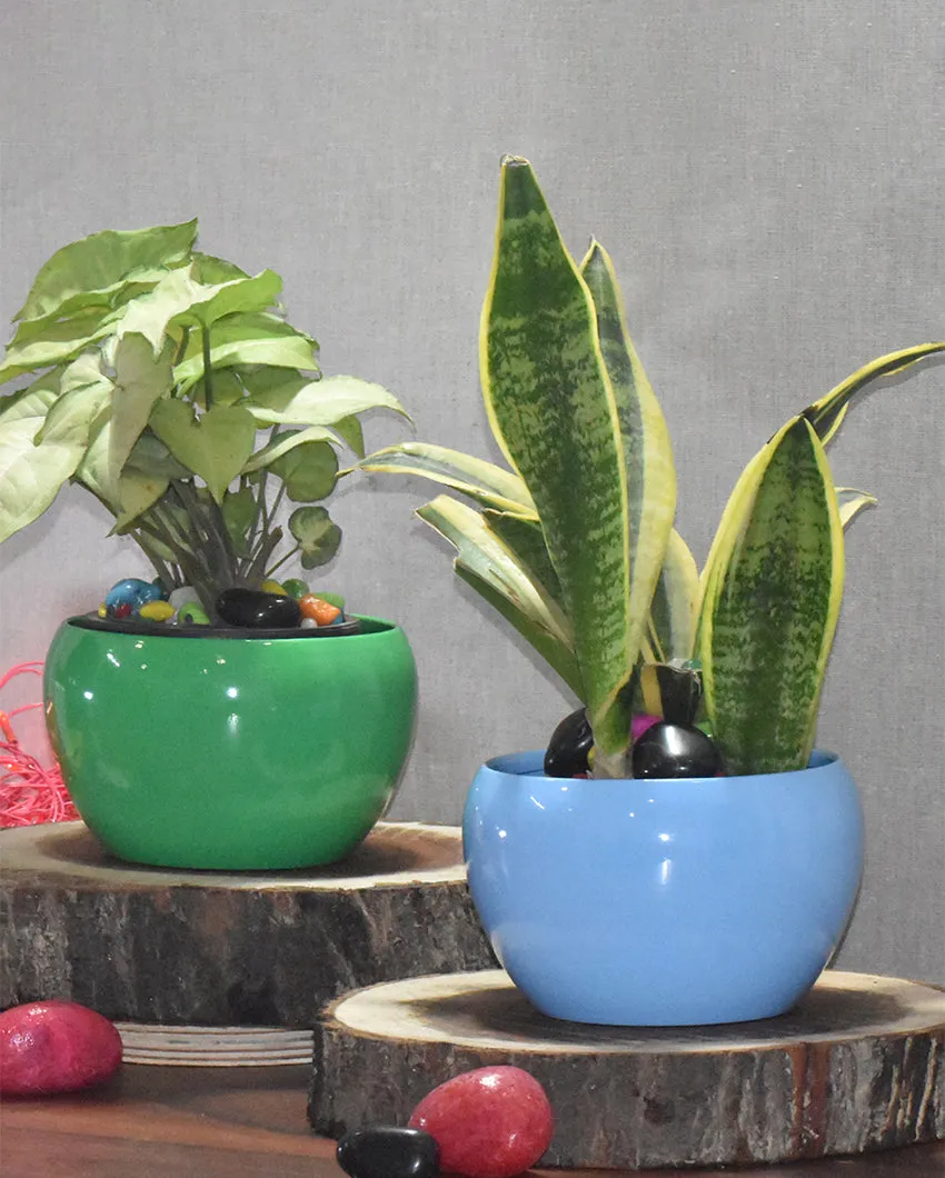 Stylish Desktop Planters Combo Without Plants | Pack of 2 | 5 x 5 inches