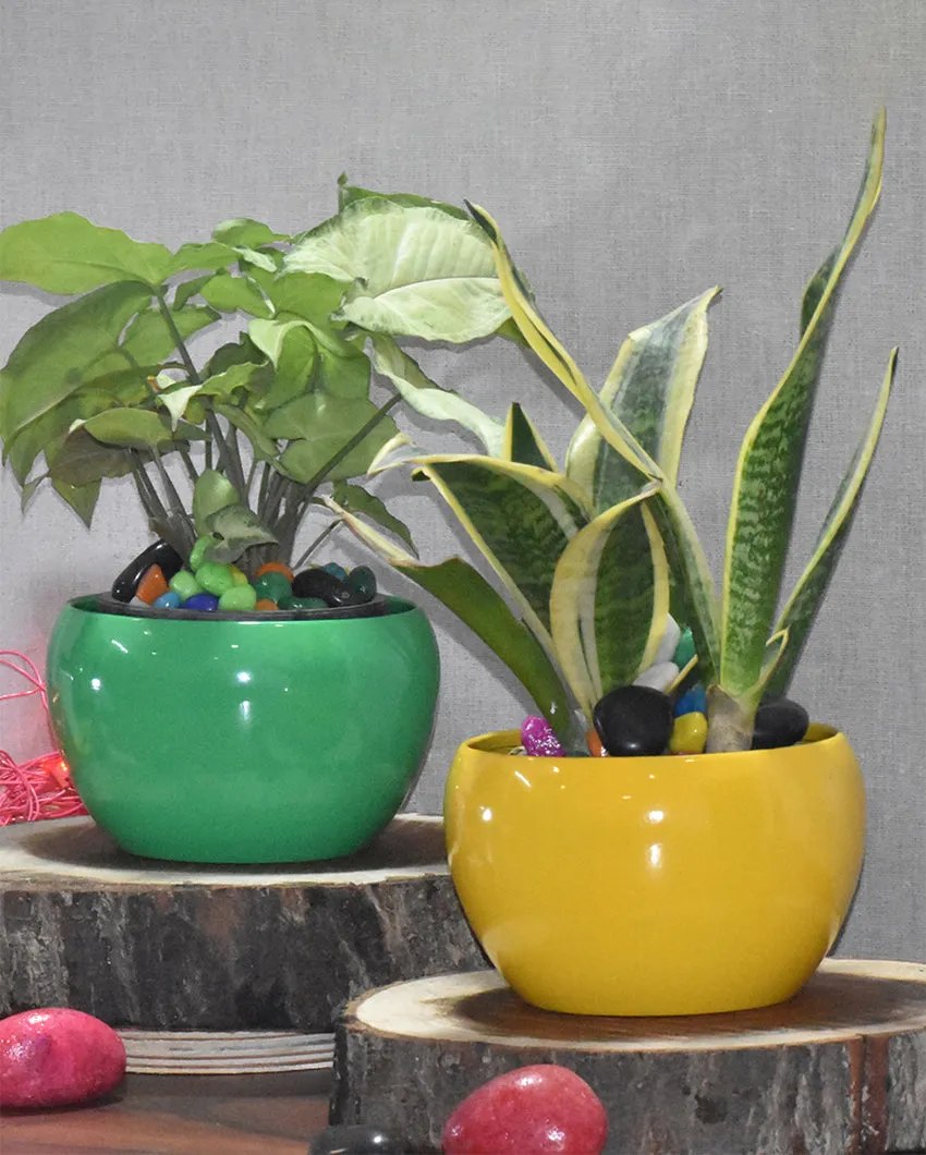 Stylish Desktop Planters Combo Without Plants | Pack of 2 | 5 x 5 inches