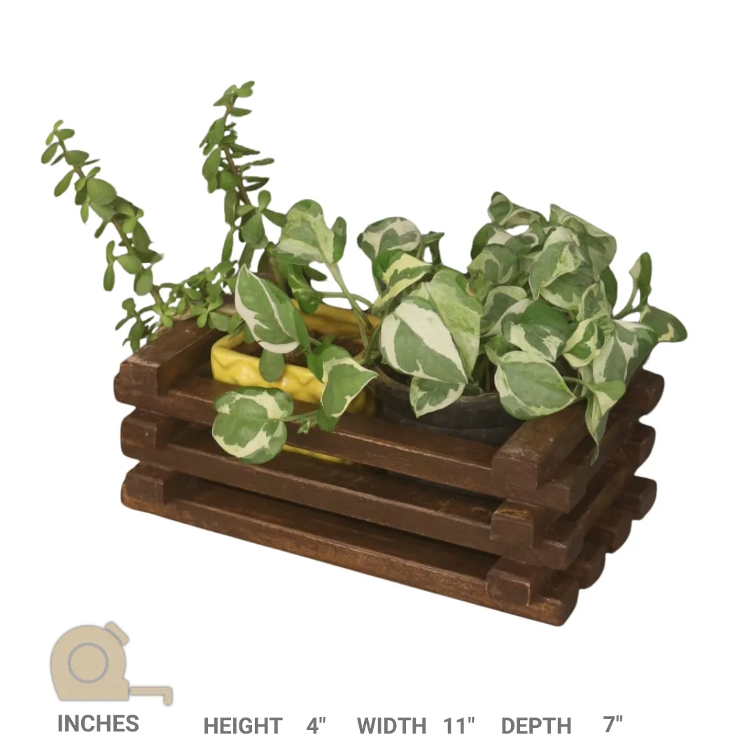 Table Top Planter - Handcrafted Wooden Planter - For Indoor Decoration - Compact and Versatile Design for Any Spaces