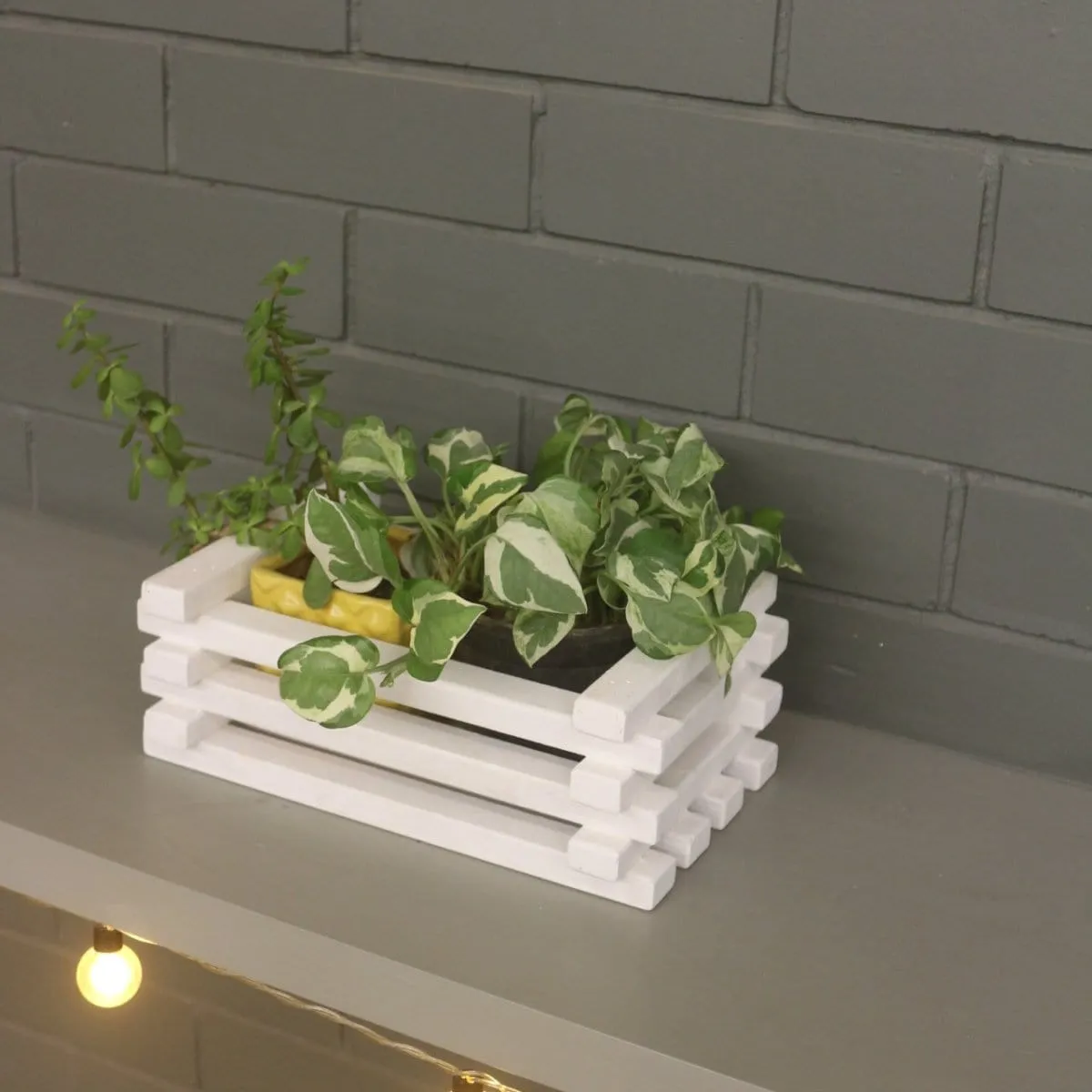Table Top Planter - Handcrafted Wooden Planter - For Indoor Decoration - Compact and Versatile Design for Any Spaces
