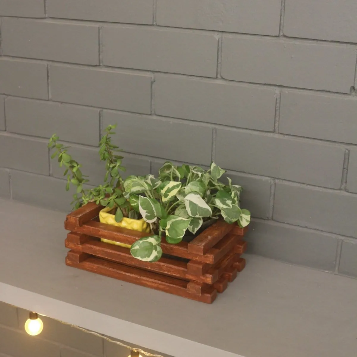 Table Top Planter - Handcrafted Wooden Planter - For Indoor Decoration - Compact and Versatile Design for Any Spaces