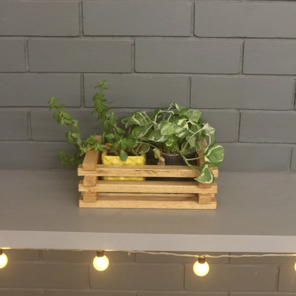 Table Top Planter - Handcrafted Wooden Planter - For Indoor Decoration - Compact and Versatile Design for Any Spaces