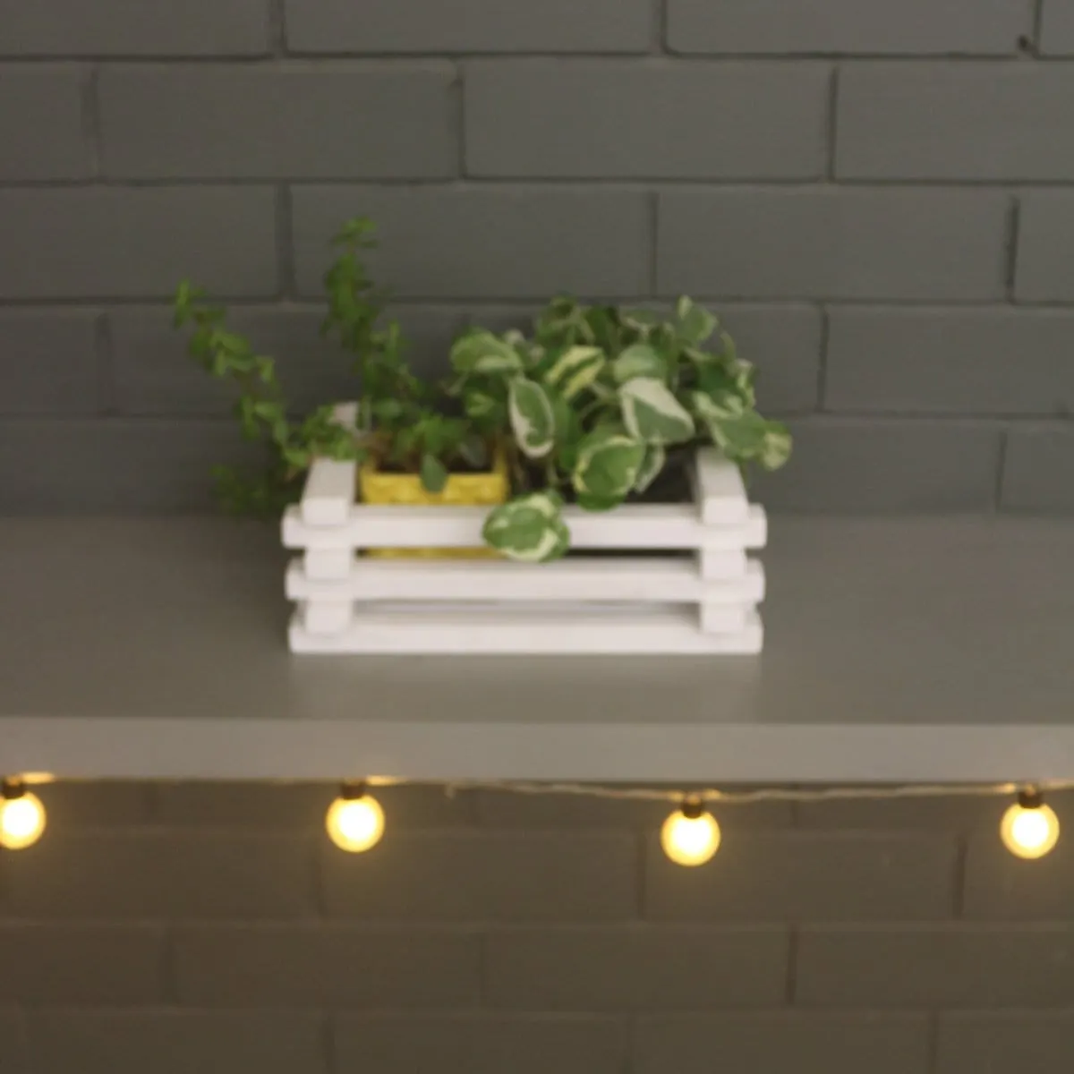 Table Top Planter - Handcrafted Wooden Planter - For Indoor Decoration - Compact and Versatile Design for Any Spaces