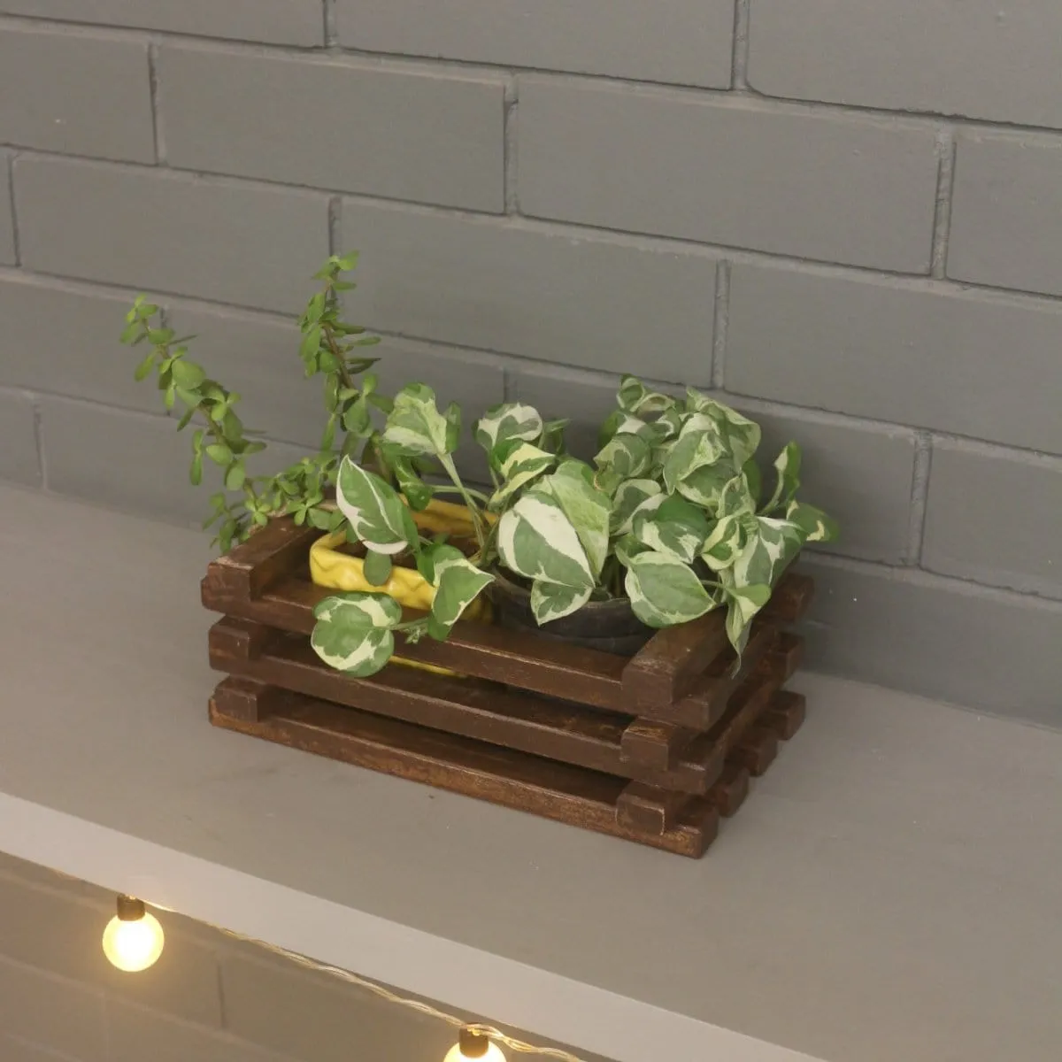 Table Top Planter - Handcrafted Wooden Planter - For Indoor Decoration - Compact and Versatile Design for Any Spaces