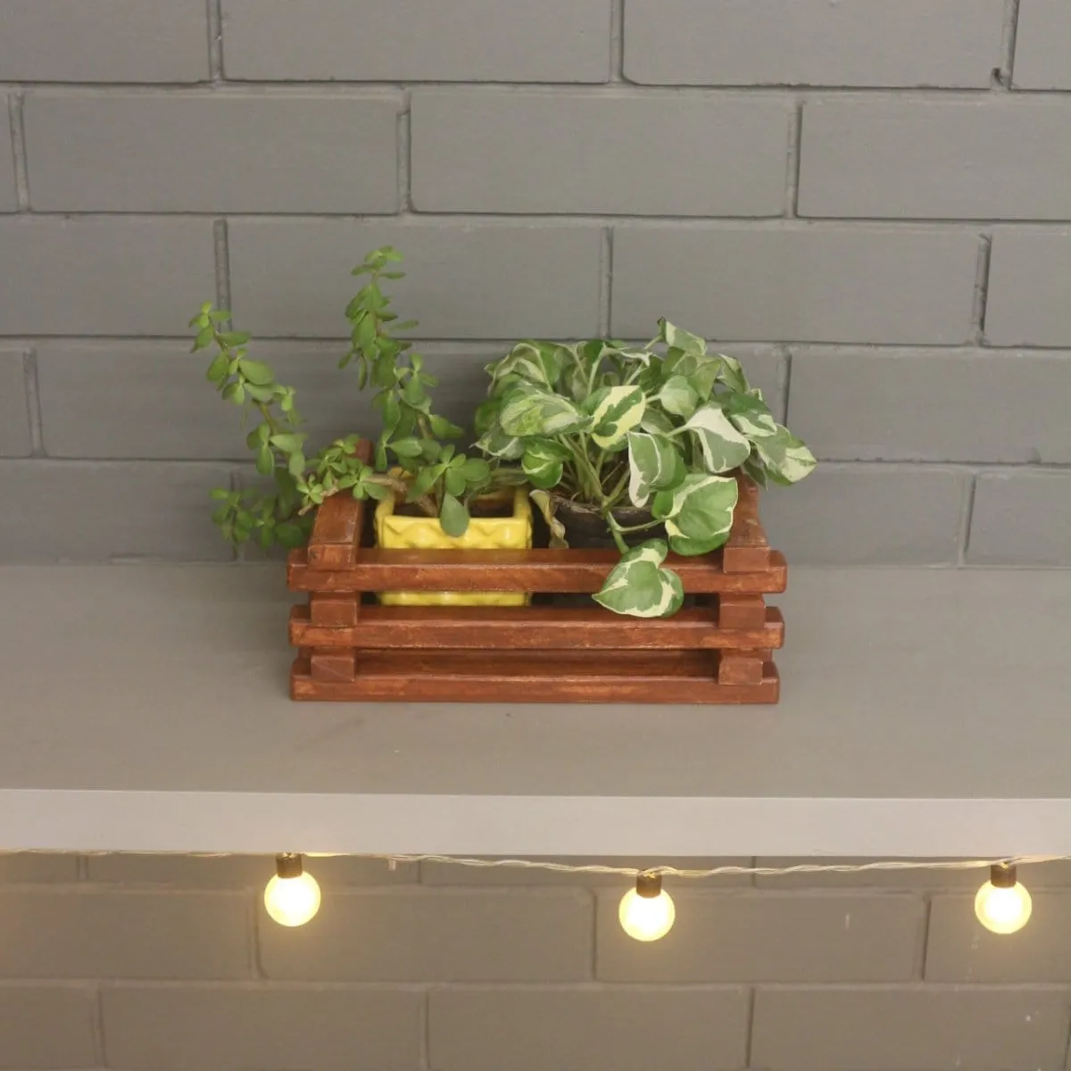 Table Top Planter - Handcrafted Wooden Planter - For Indoor Decoration - Compact and Versatile Design for Any Spaces