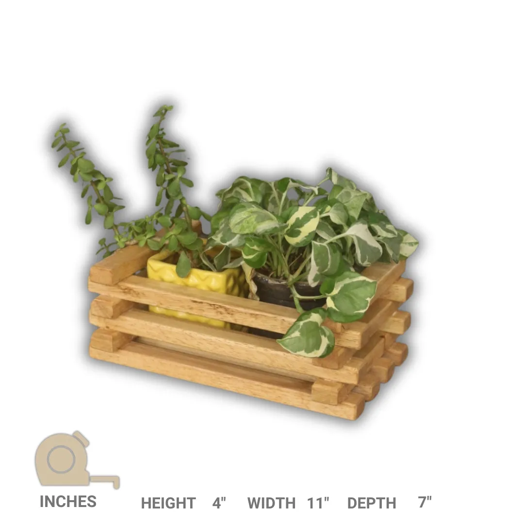 Table Top Planter - Handcrafted Wooden Planter - For Indoor Decoration - Compact and Versatile Design for Any Spaces