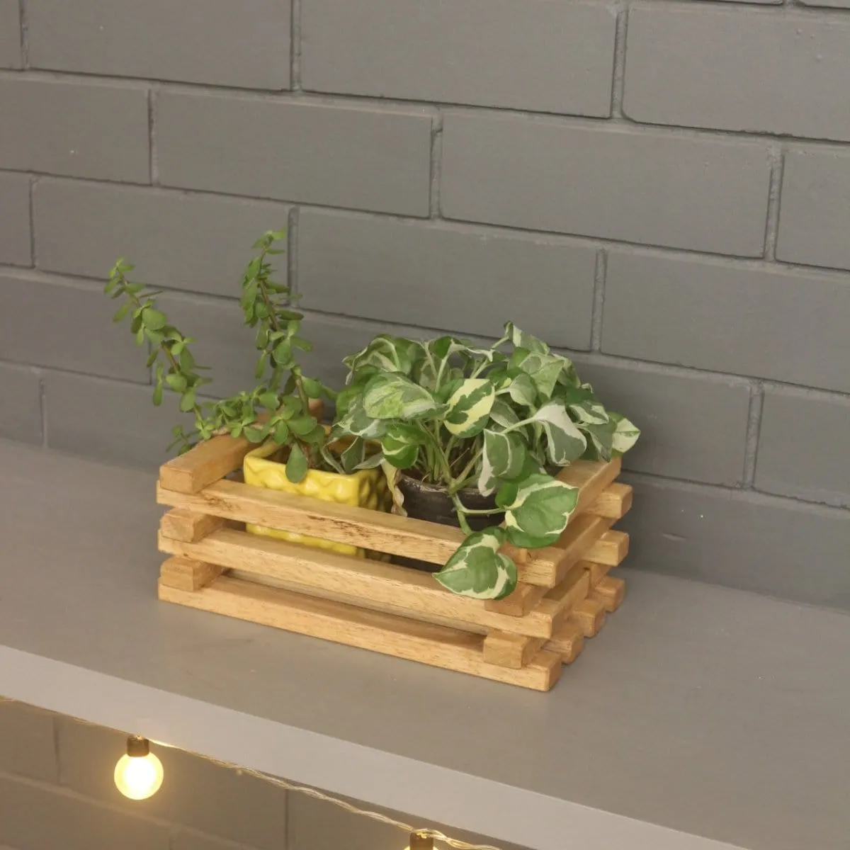 Table Top Planter - Handcrafted Wooden Planter - For Indoor Decoration - Compact and Versatile Design for Any Spaces