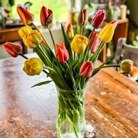 Tulip Cutting Mix