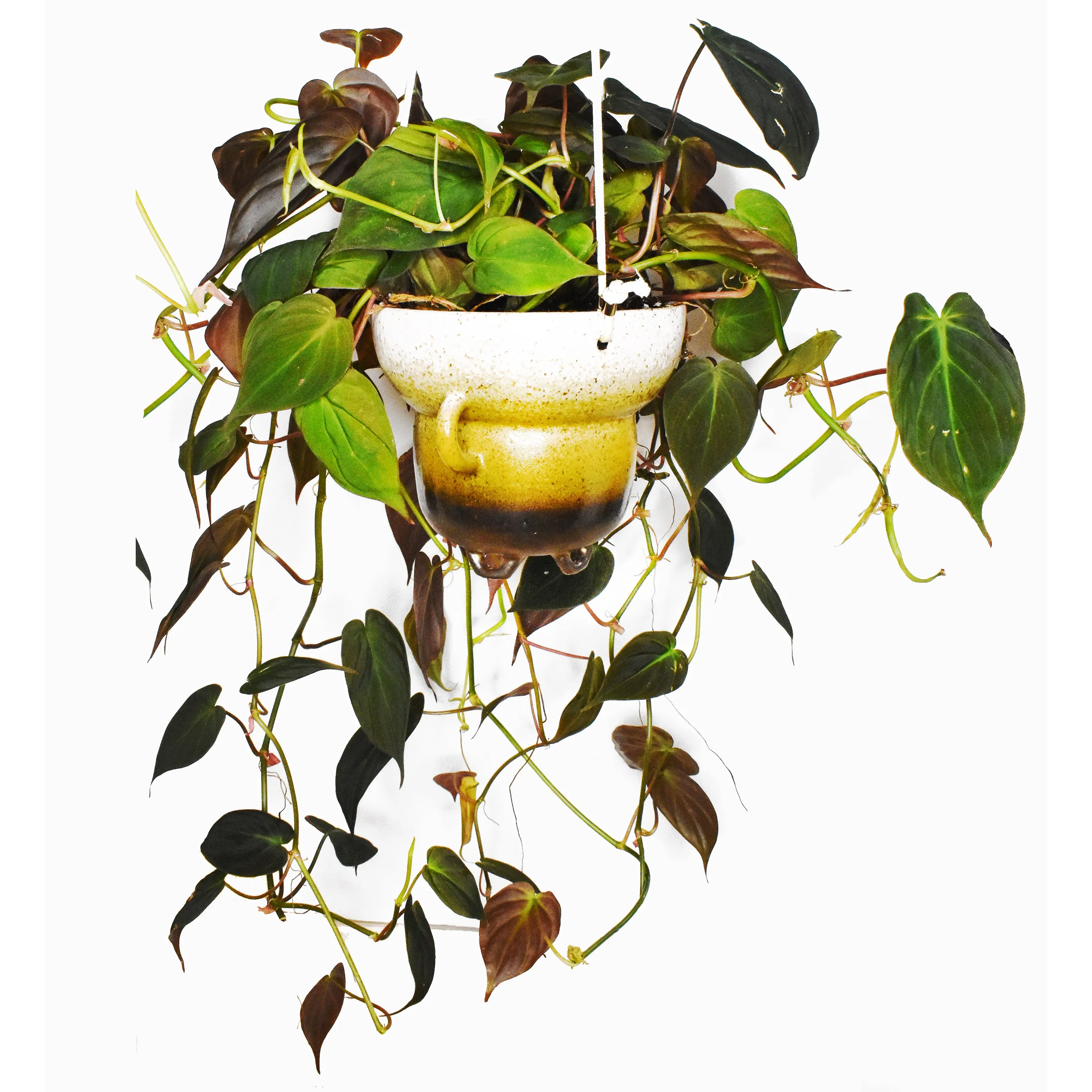 UFO Hanging Ceramic Planter