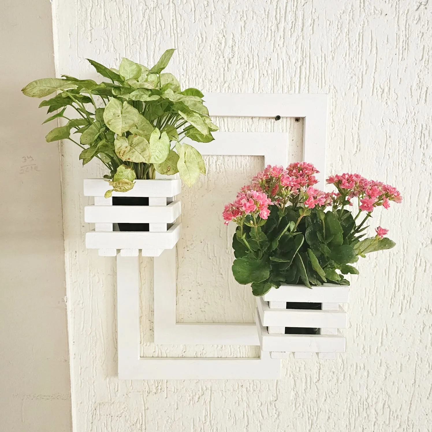 Wall Mounted Planter- Handcrafted Planter with 2 Planter Space  - For Living Room and Balcony