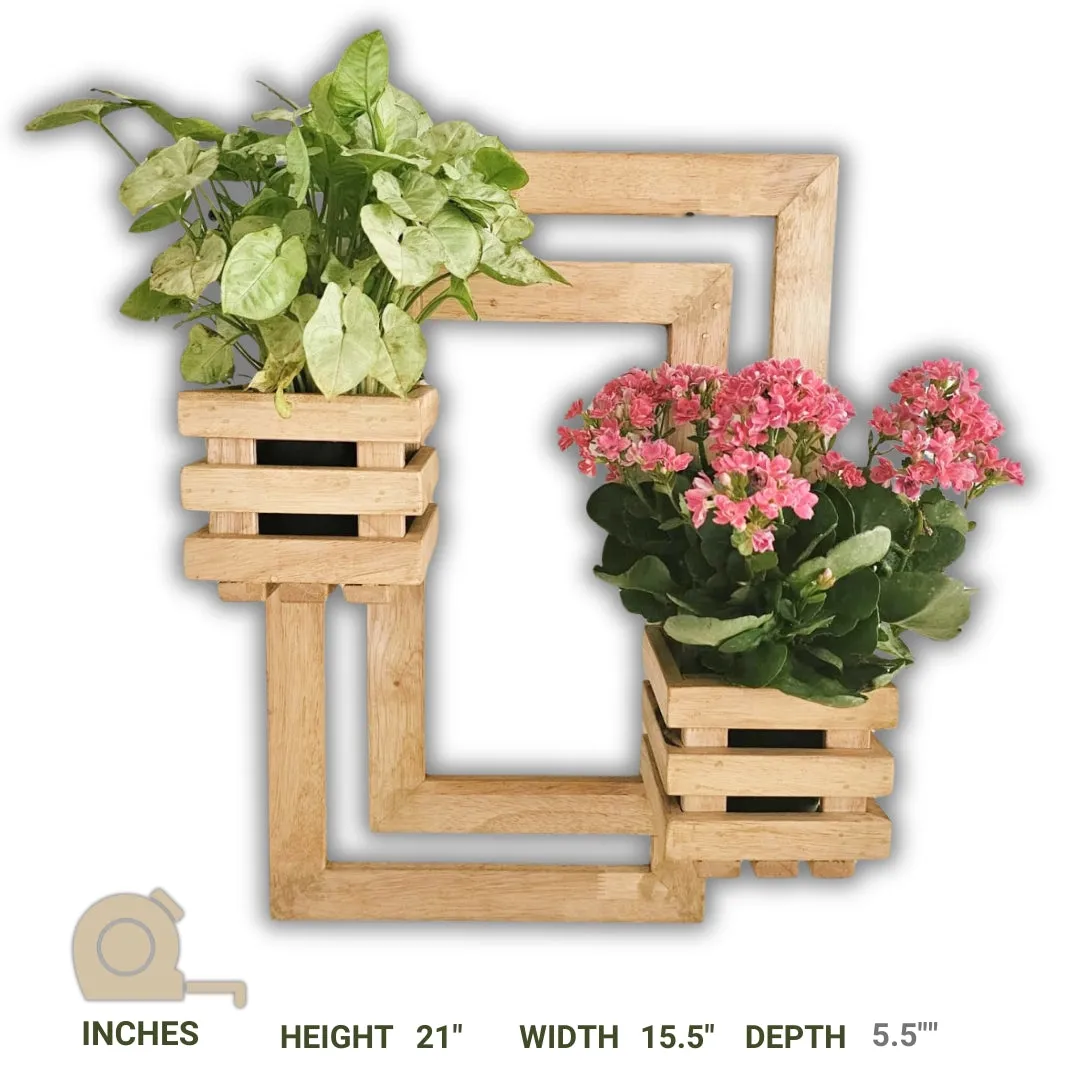 Wall Mounted Planter- Handcrafted Planter with 2 Planter Space  - For Living Room and Balcony