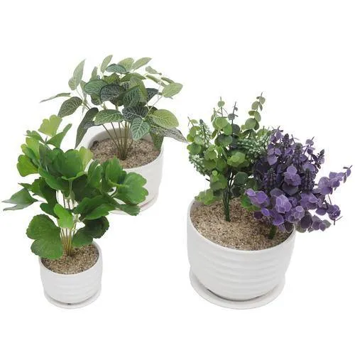 White Round Modern Ceramic Planter Pots, Set of 3