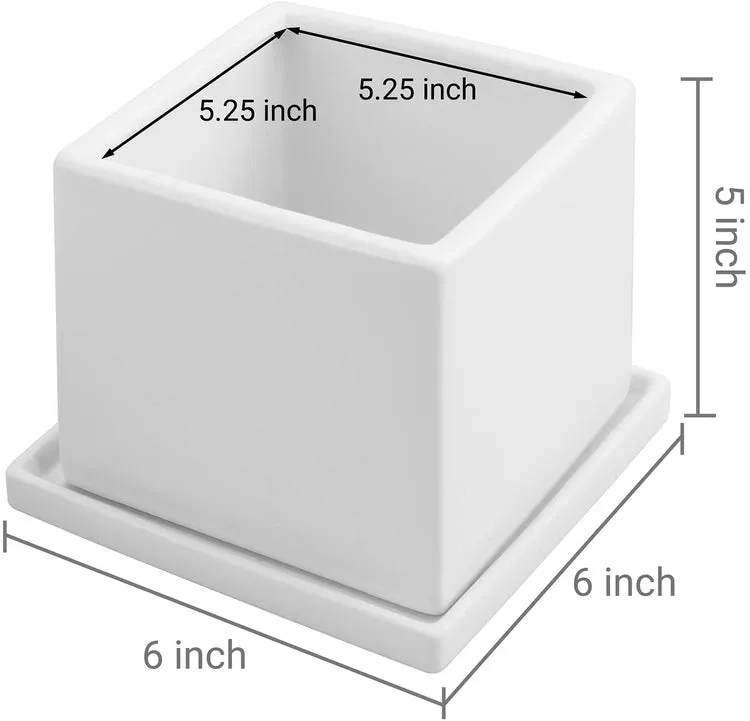 White Square Ceramic Planters with Matching Removable Saucers, Set of 2