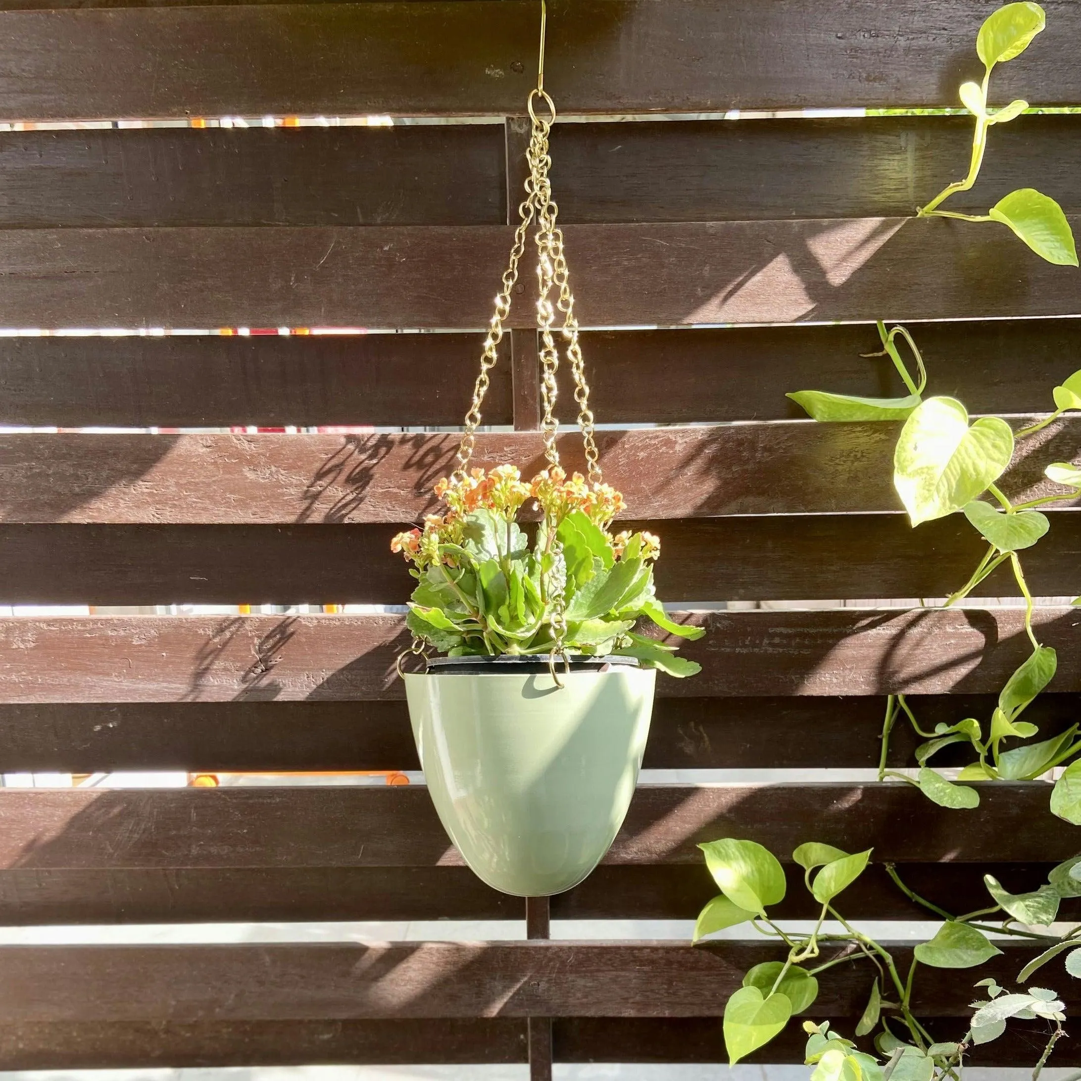 Wiley Wall Hanging Planters for Home Balcony | Flower Pot Basket