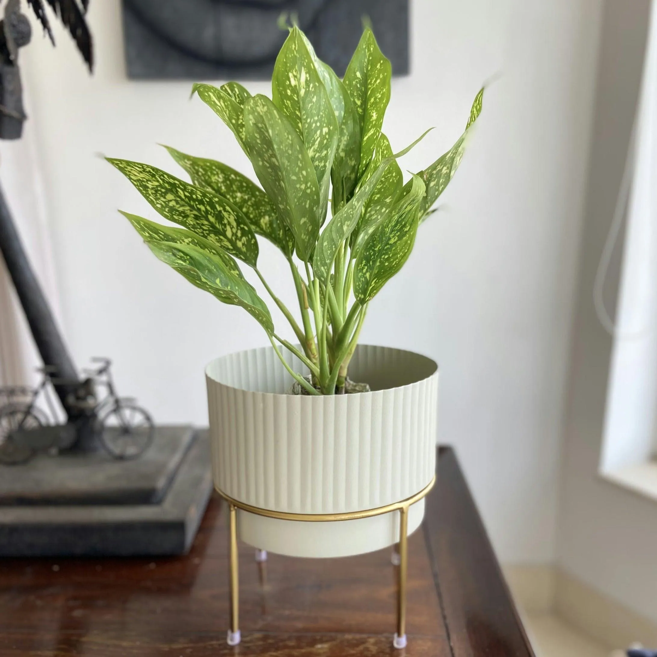 Zaria Planters Bowl Basket for Decor | Plant Flower Pot